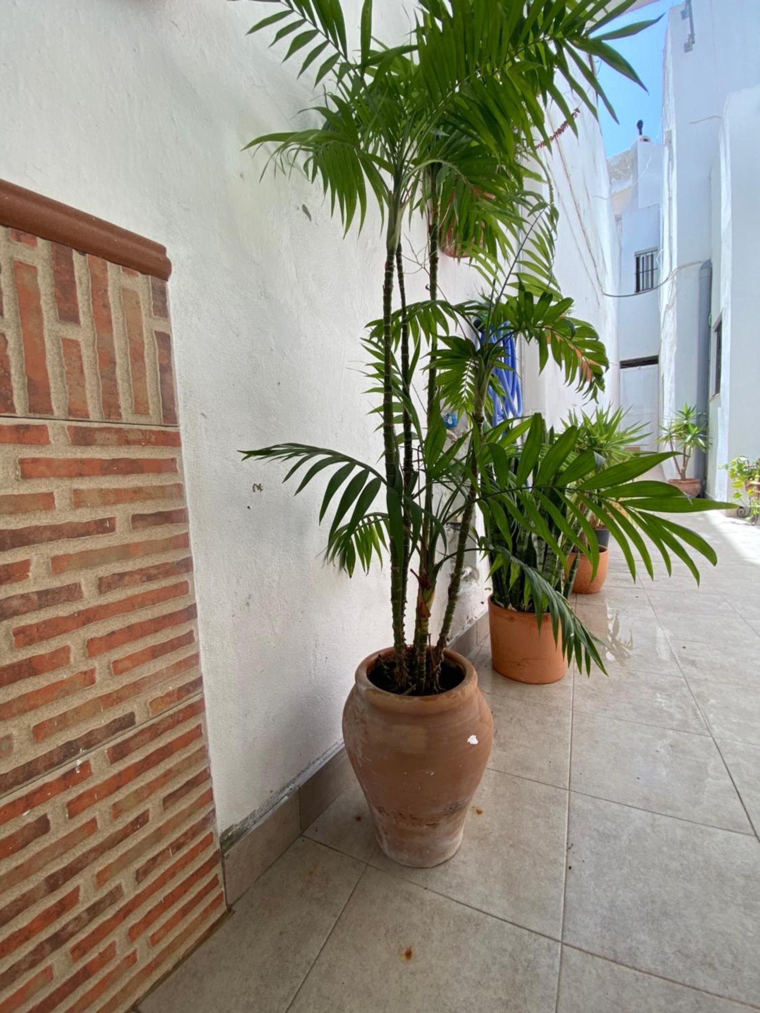 Casa Calle Vejer de la Frontera Buitenkant foto